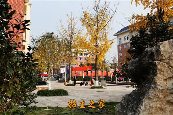 重庆教育管理学校图片-重庆教育管理学校照片