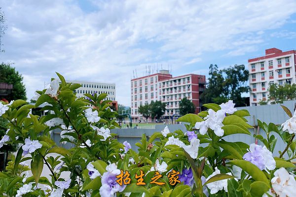 德阳安装技师学院相册图集